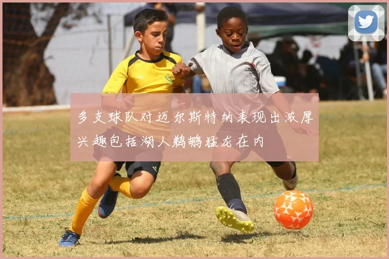 多支球队对迈尔斯特纳表现出浓厚兴趣包括湖人鹈鹕猛龙在内