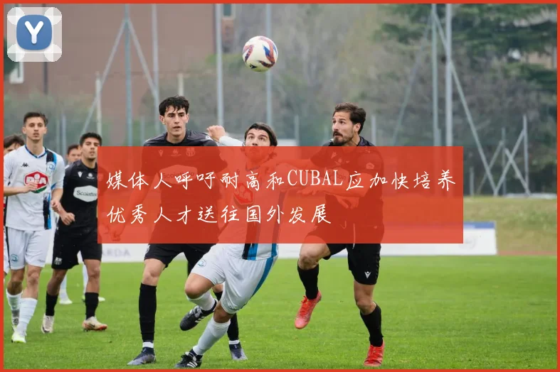 媒体人呼吁耐高和CUBAL应加快培养优秀人才送往国外发展
