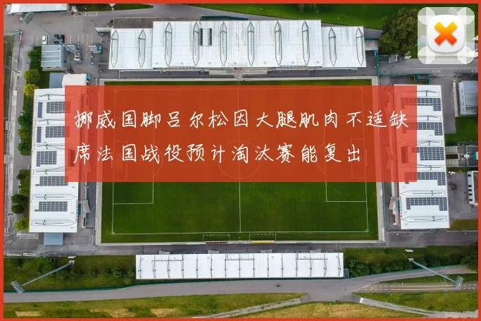 挪威国脚吕尔松因大腿肌肉不适缺席法国战役预计淘汰赛能复出